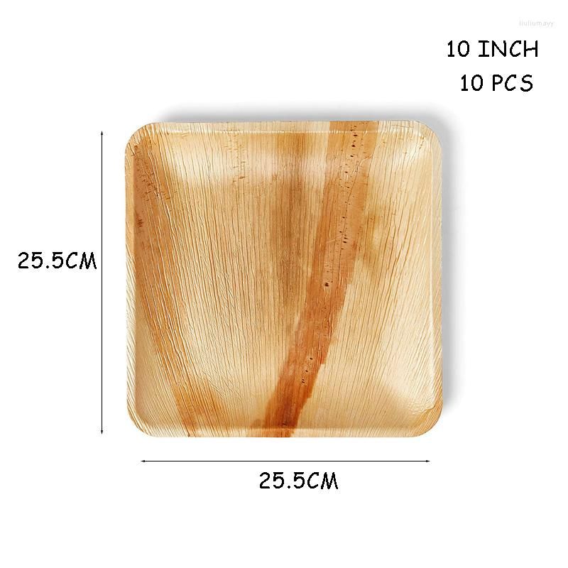 10inch square plate