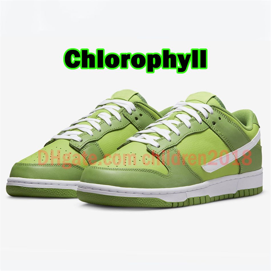 # 21 chlorophylle