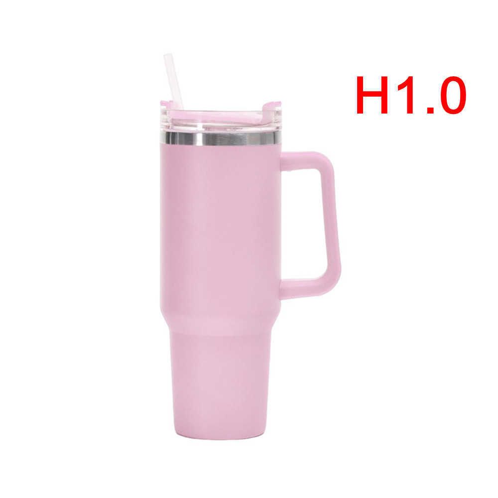 H1.0 rosa