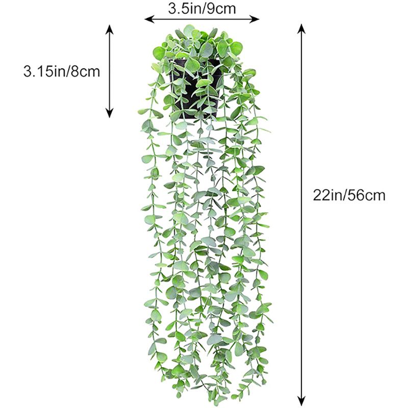 Eukalyptus grönt potten