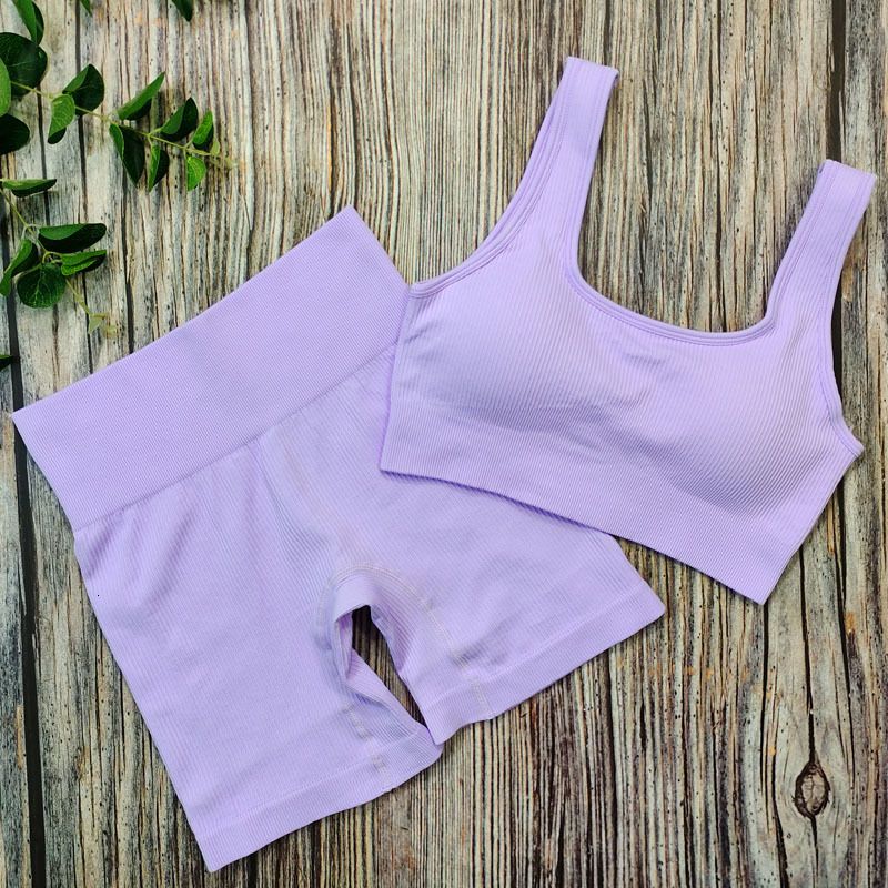 2 piece purple2