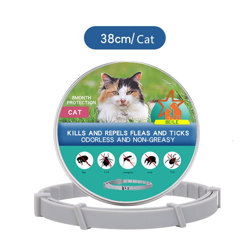 CAT-38CM BOX