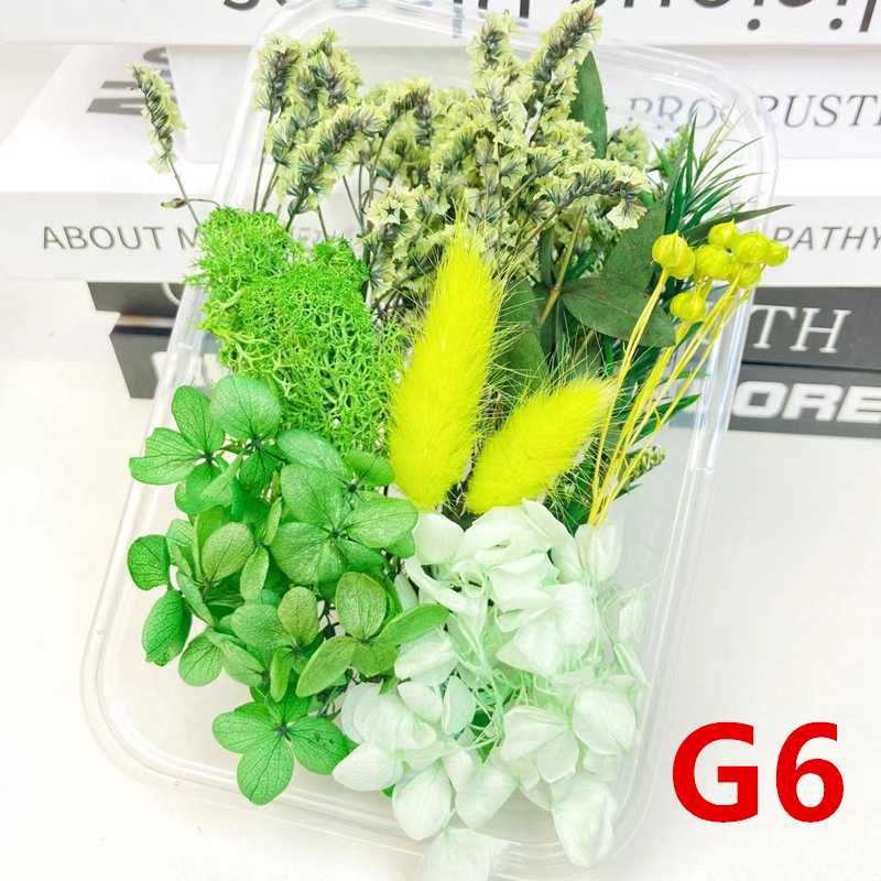 G6