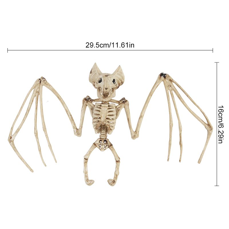 Bat skeleton