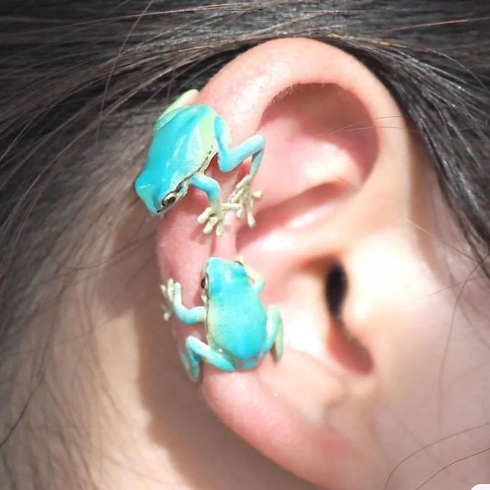 Blue frog ear clip