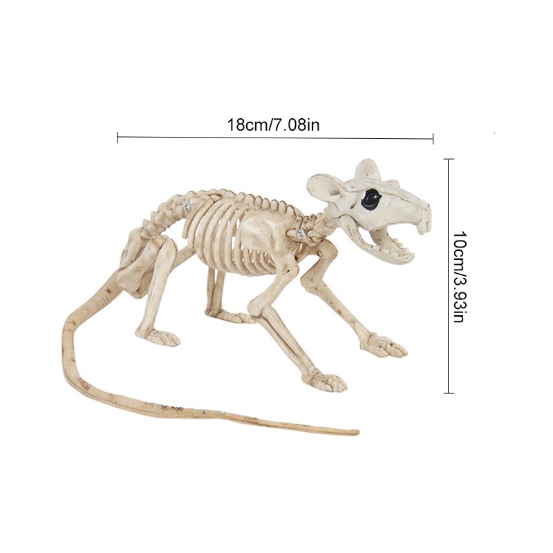 esqueleto de rato