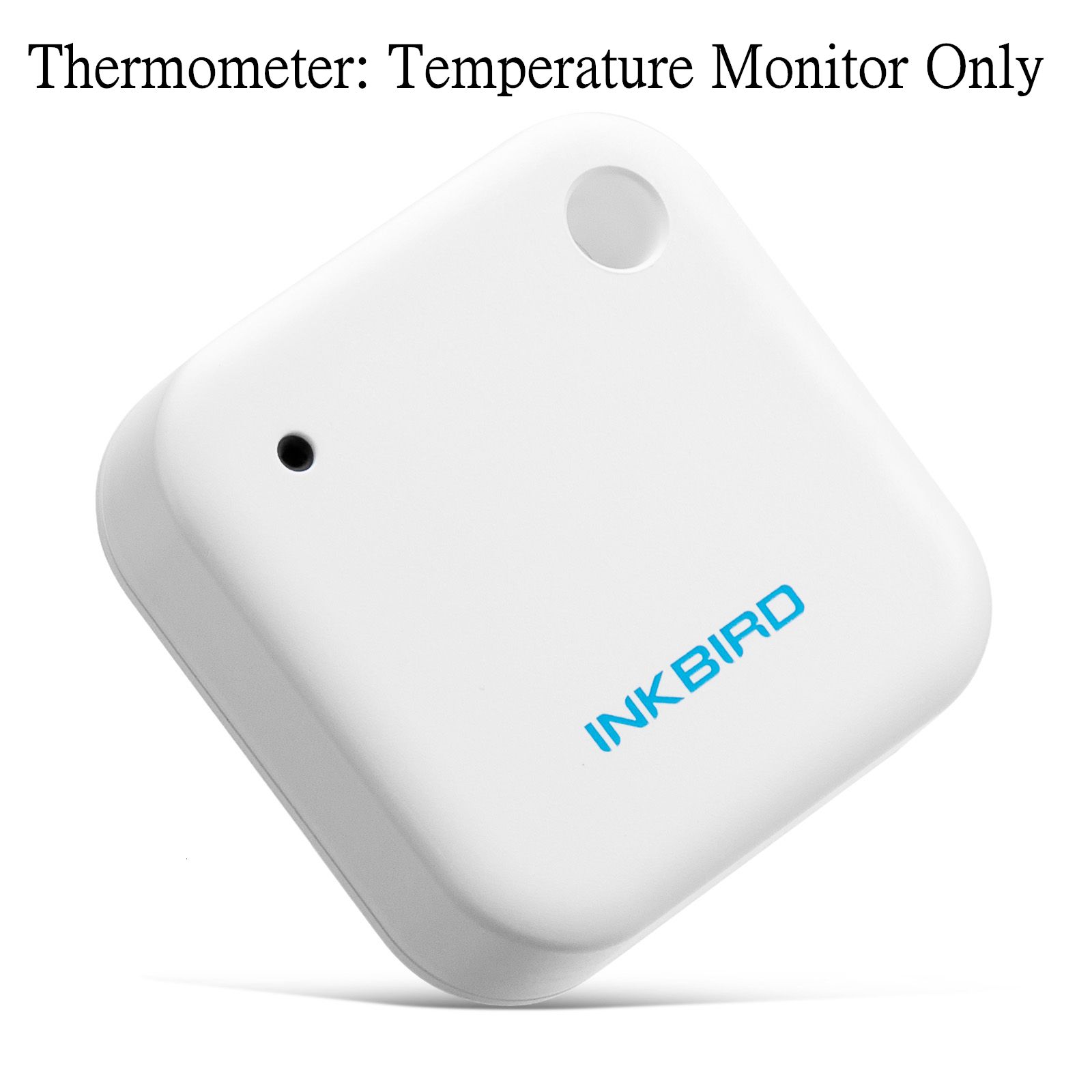 IBS-Th2 termometre