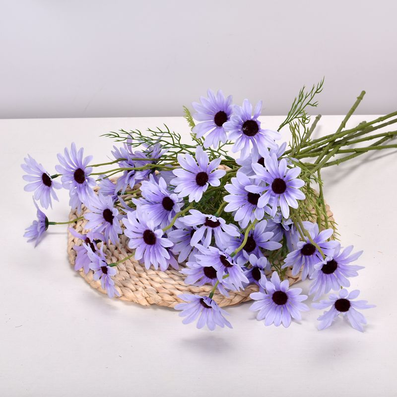 1 pc-violet bleuté