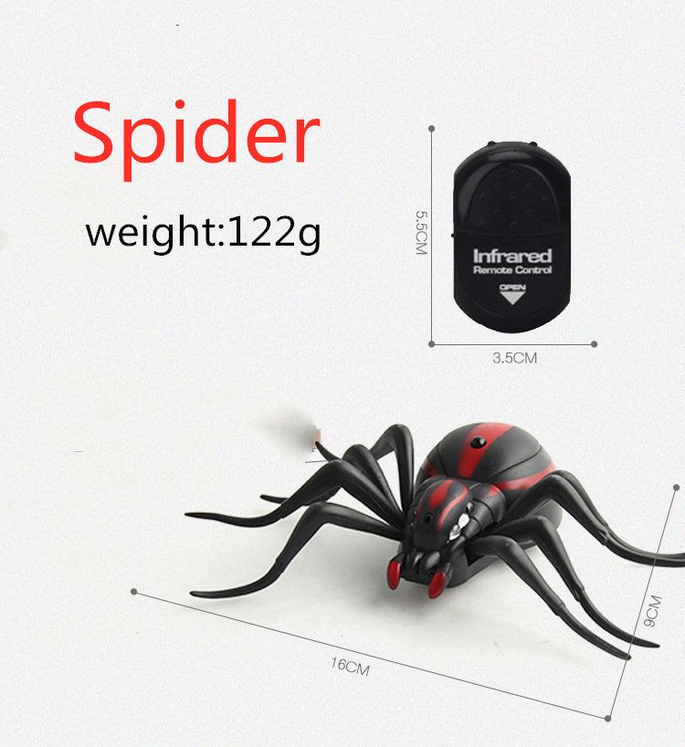 spider no box