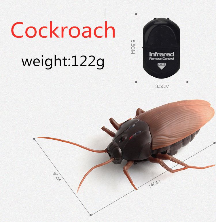 cockroach no box