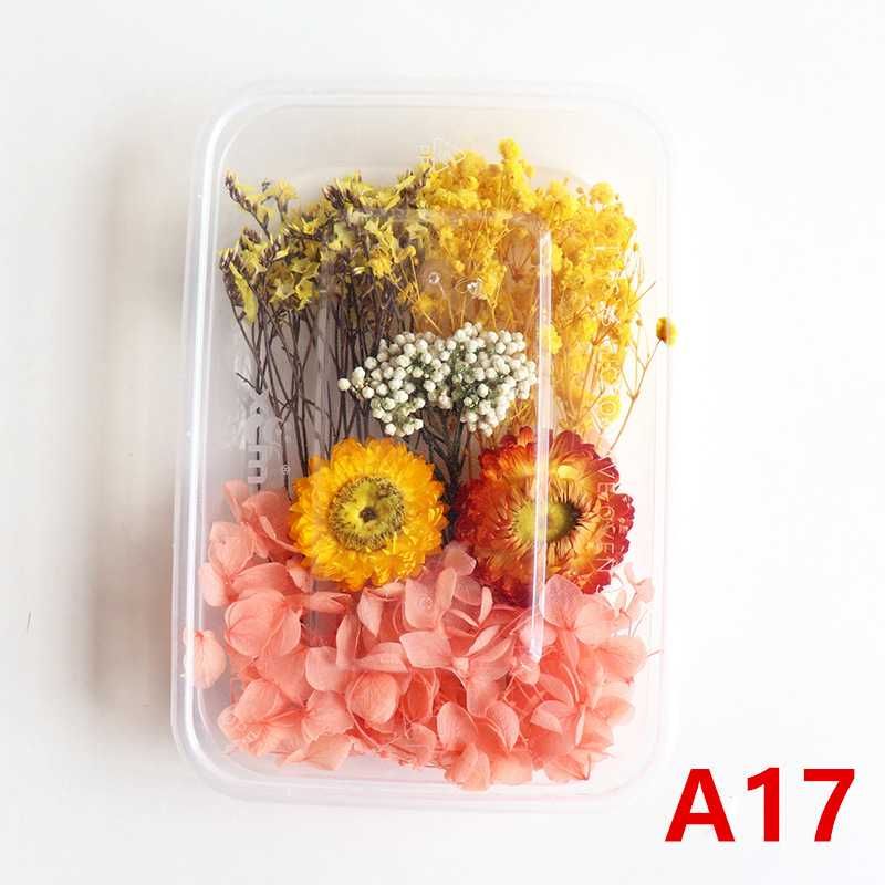 A17