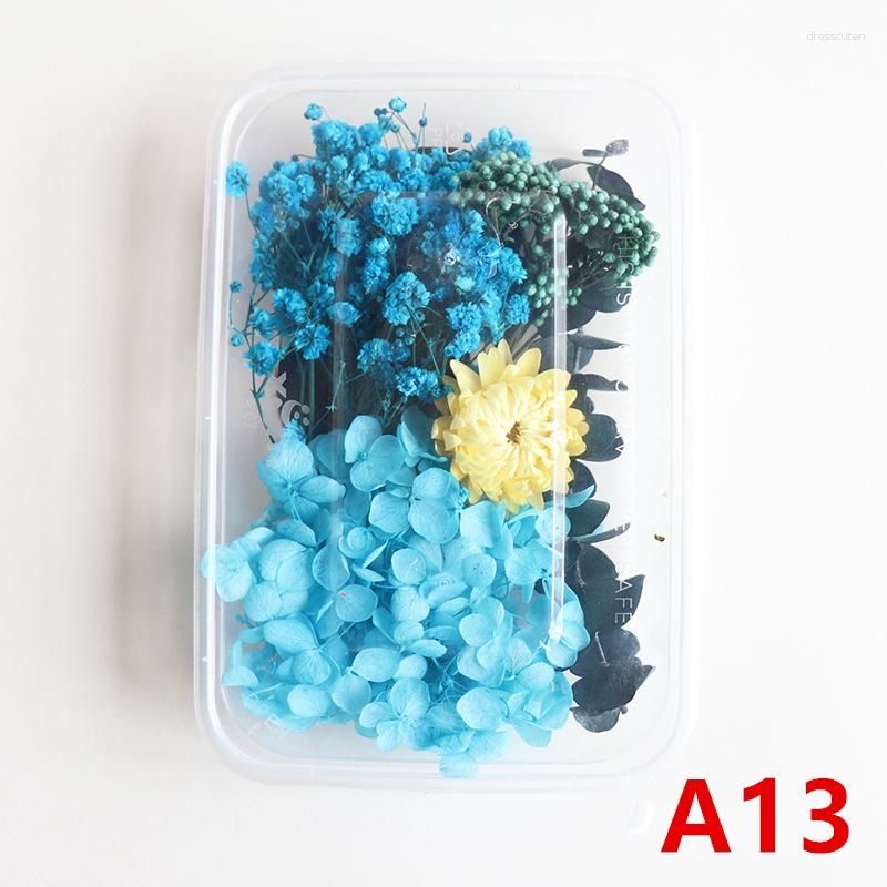 A13