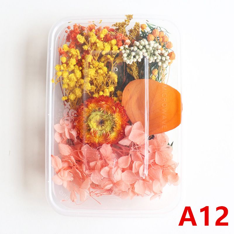 A12