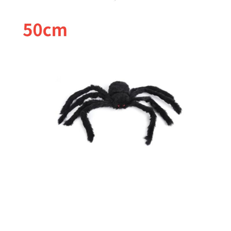 50 cm-spider