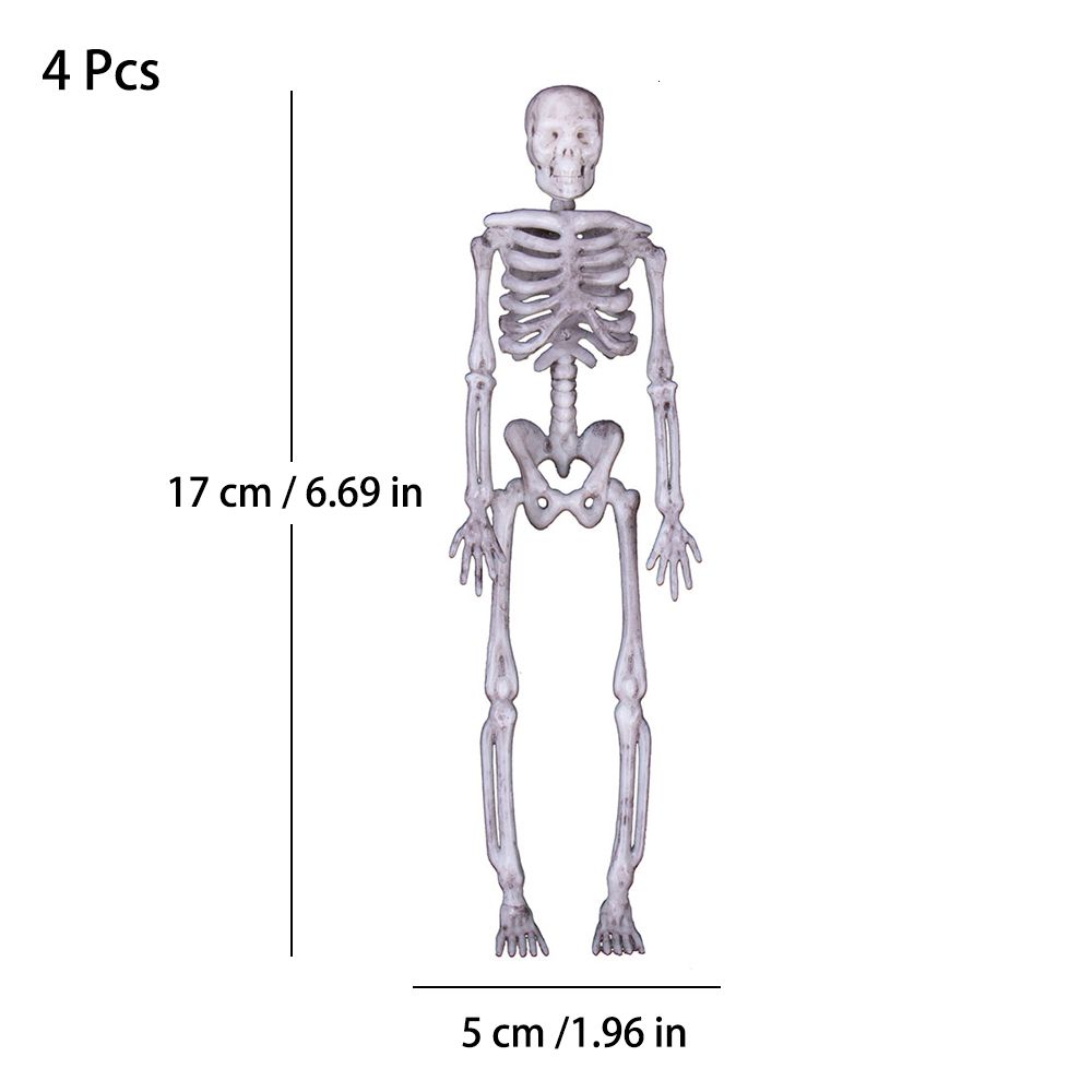 4 st skelett