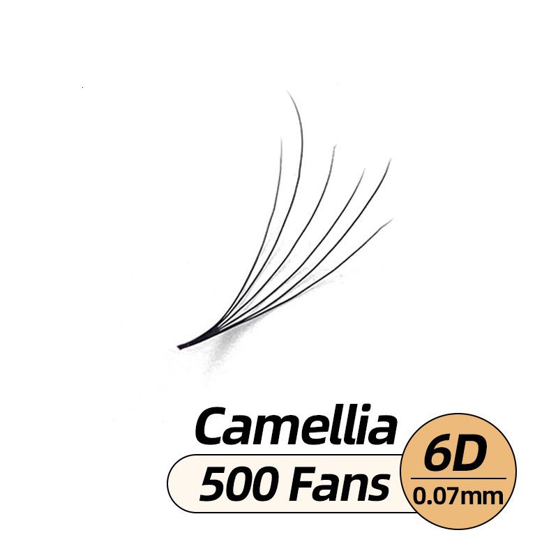 C-6D-0.07-500fans