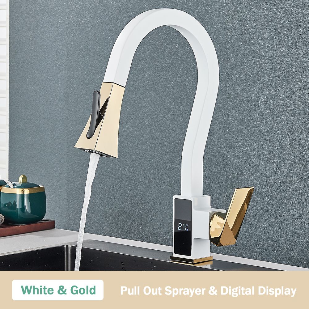 White Gold Faucet