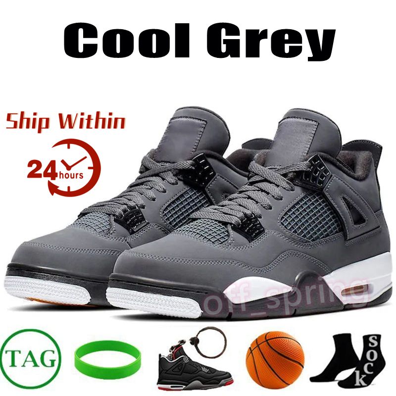 13 Cool Grey