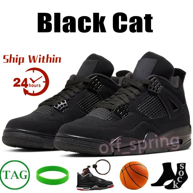 4 Black Cat