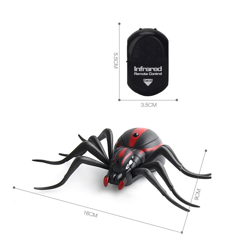 rc spider