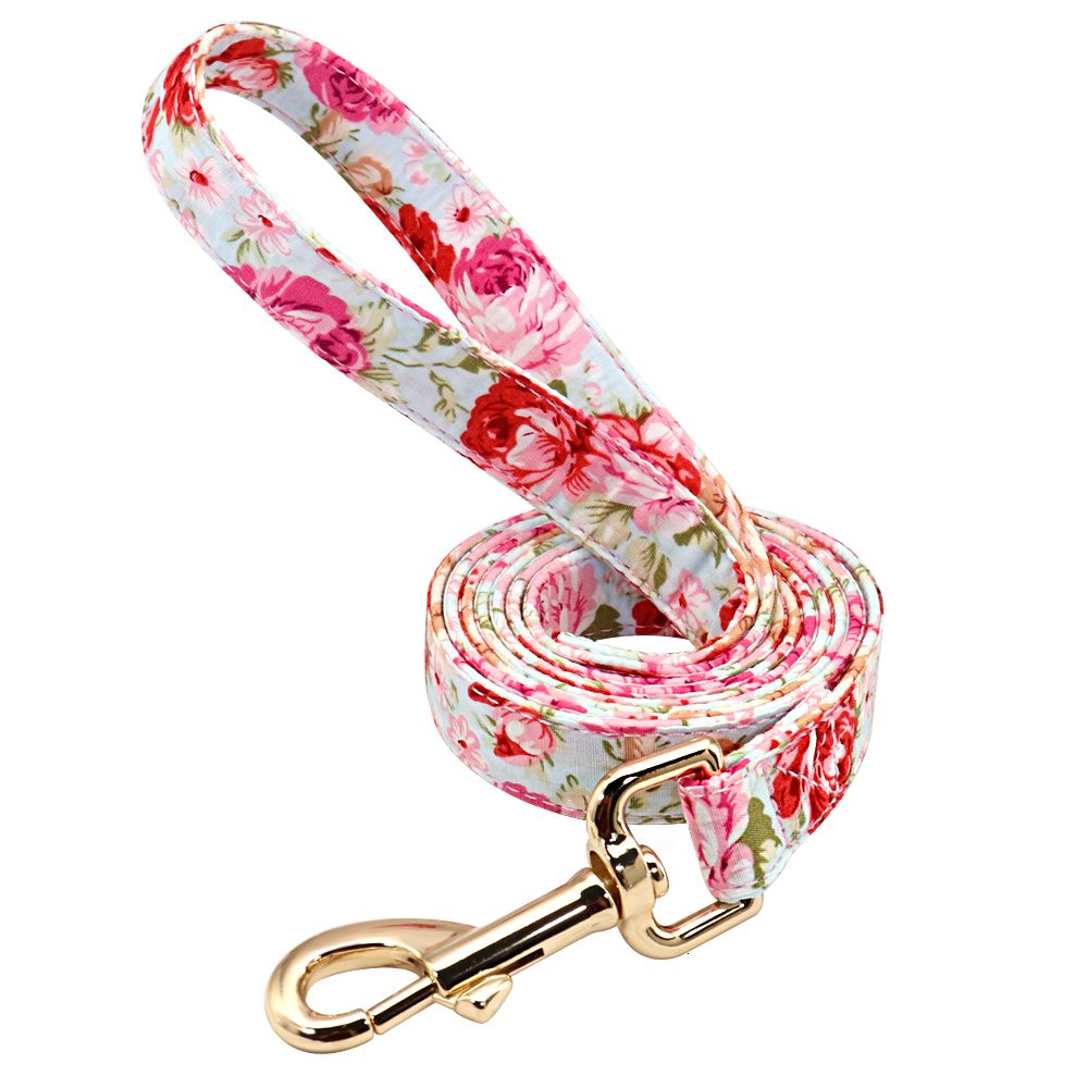 Leash-de-rosa