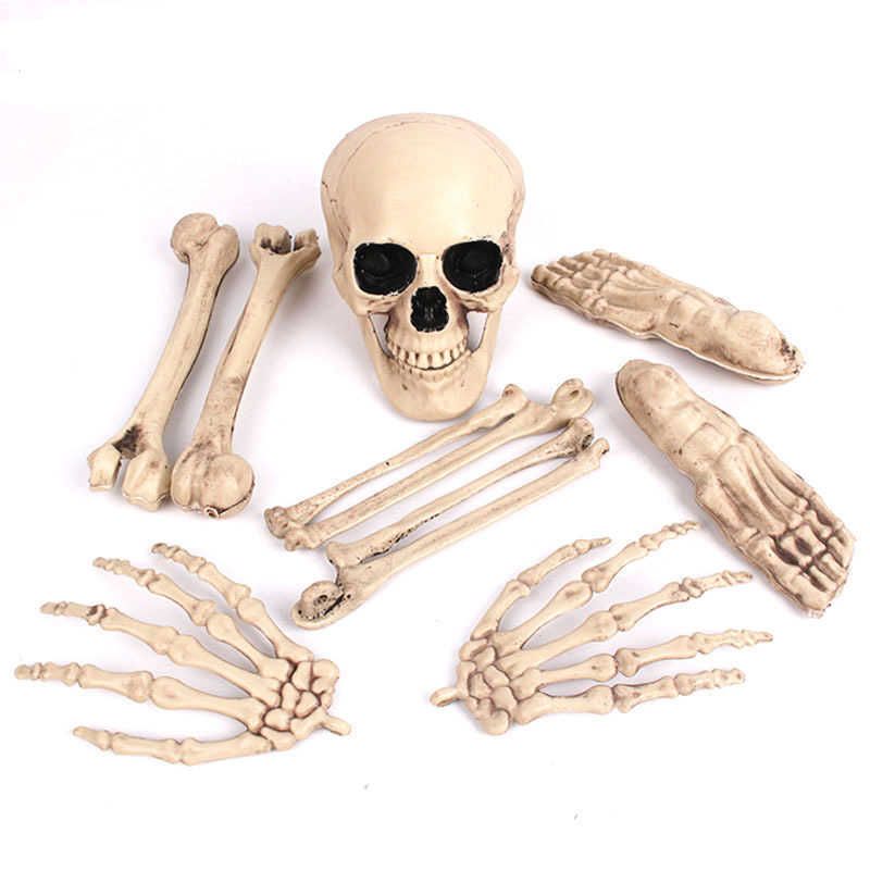 9pc Skeleton