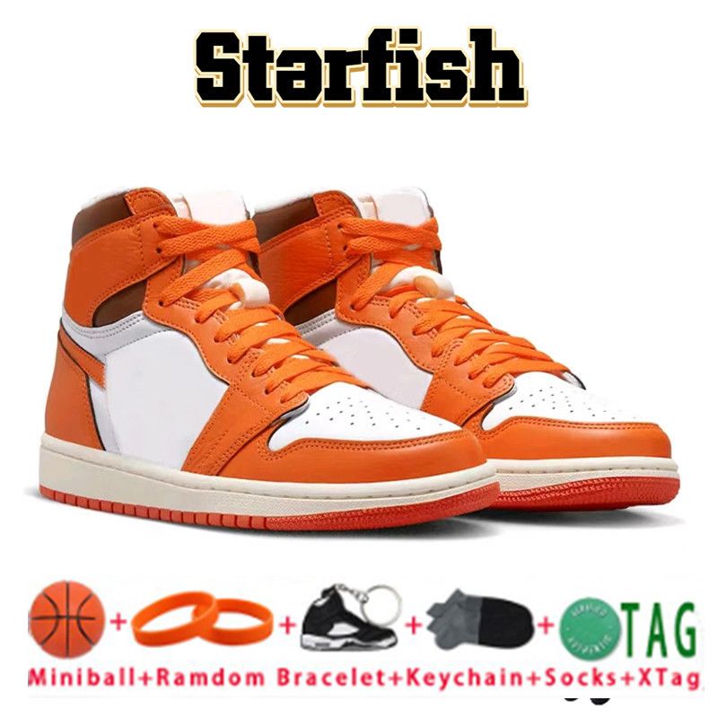 02 Starfish