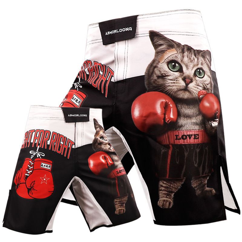 6 MMA Fight Shorts