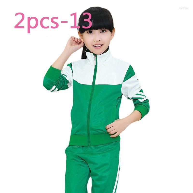 2PCS-13