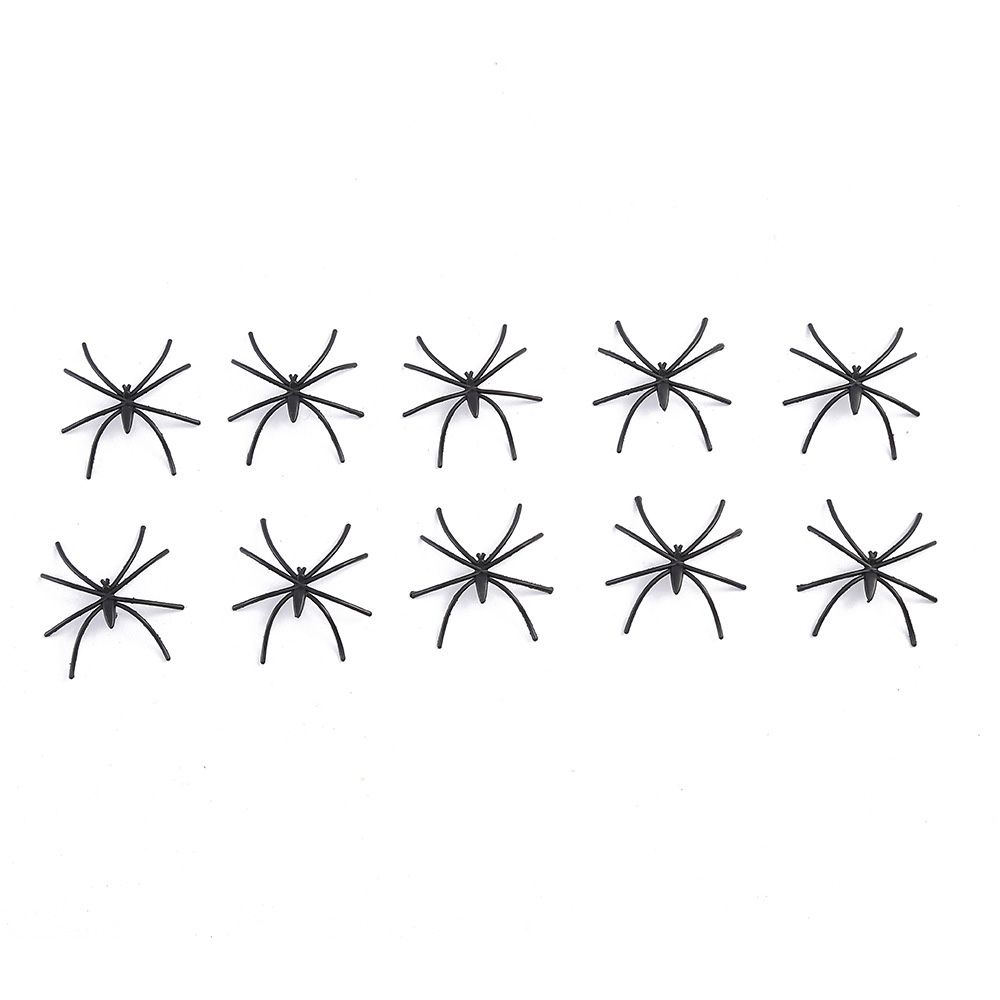 10 spiders