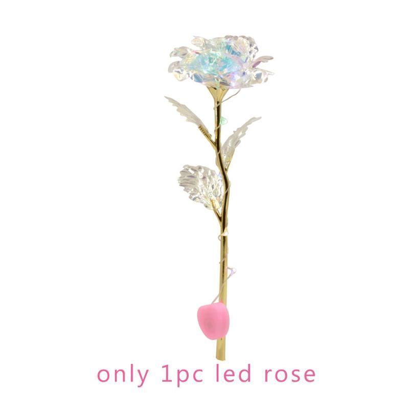 Tylko Rose 1PC