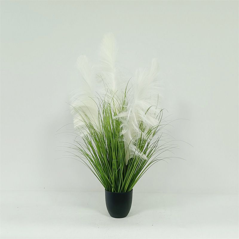 60cm White Reed