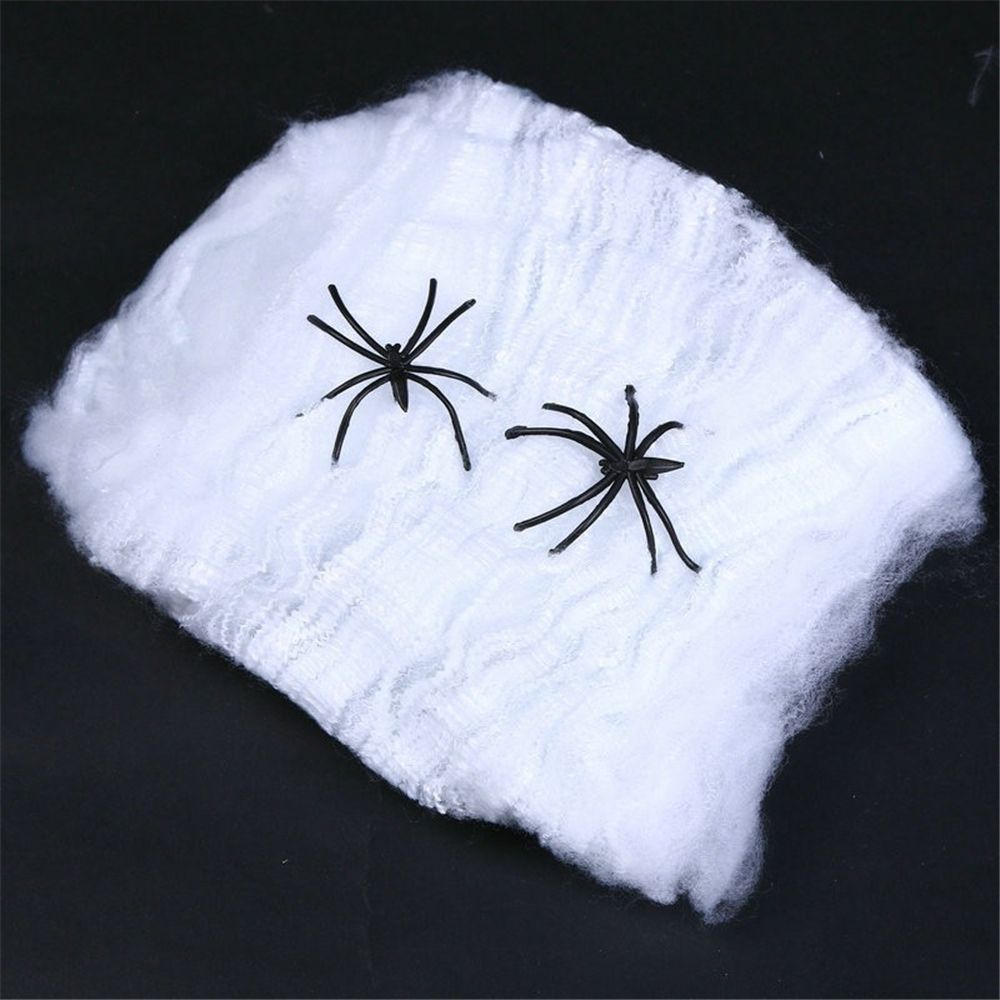 Spider web blanc