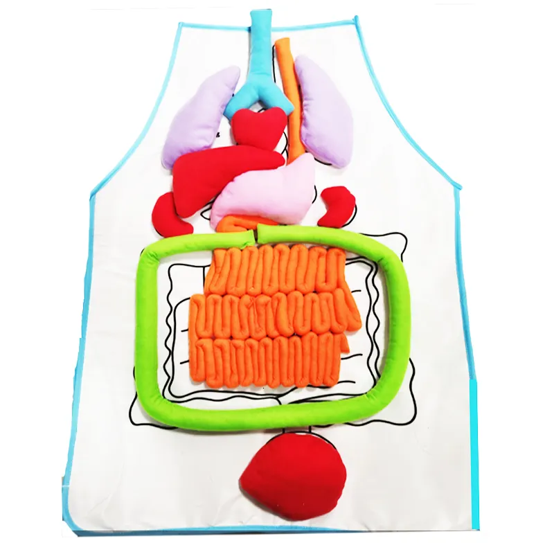 Delantal De Órganos 3d, Delantal De Anatomía Para Niños, Par | Envío gratis Delantal De Órganos 3d, Delantal De Anatomía Para Niños, Par | Envío gratis