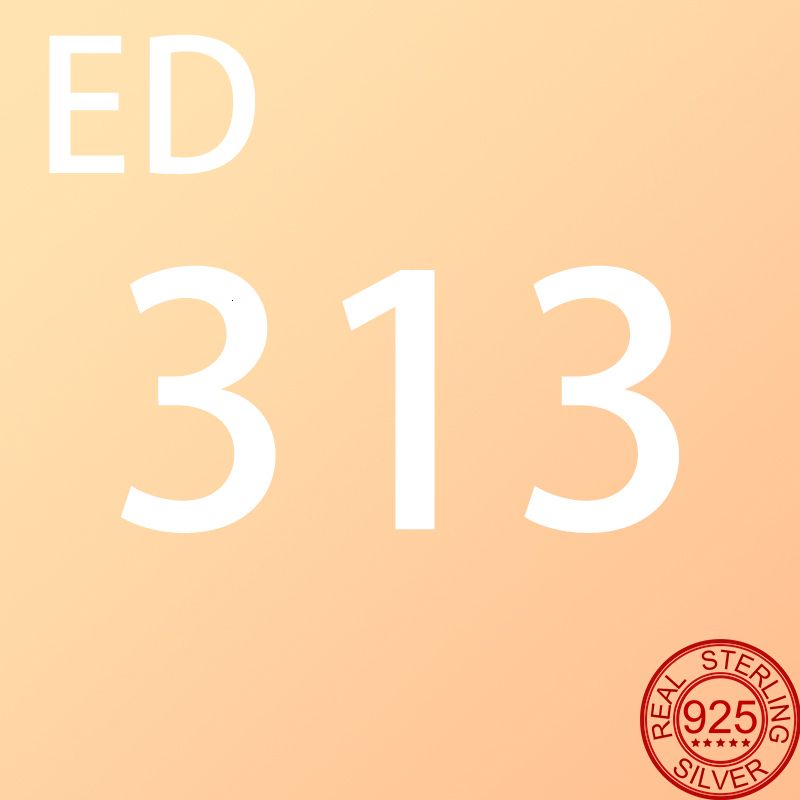 ED-313