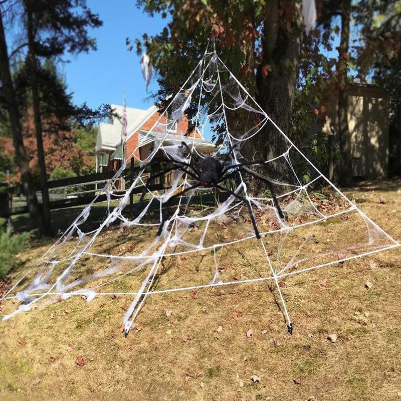 Spider Web 7x5.5m