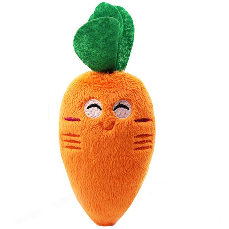 Carrot-1 PC