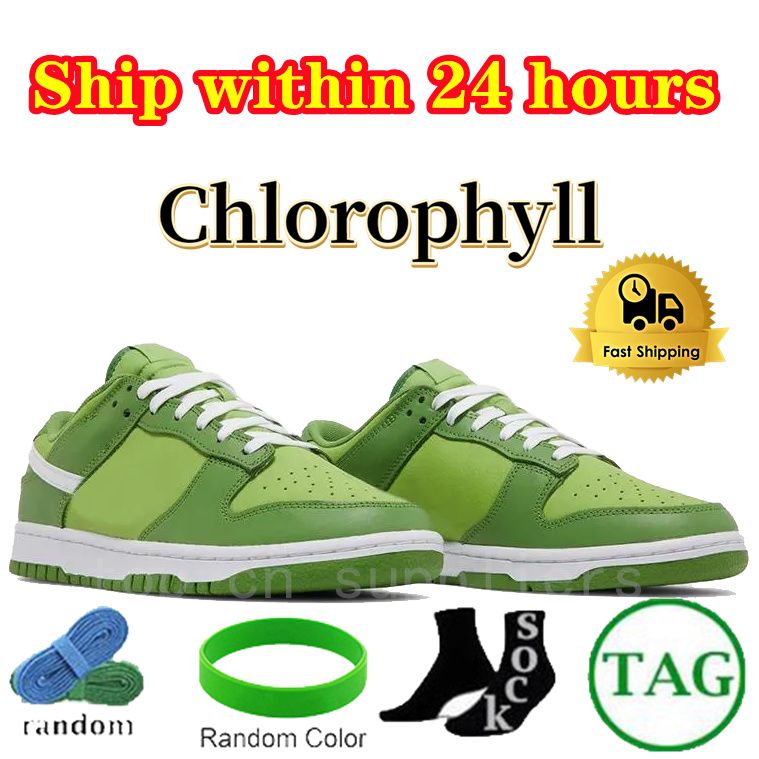 NO.26 Chlorophyll