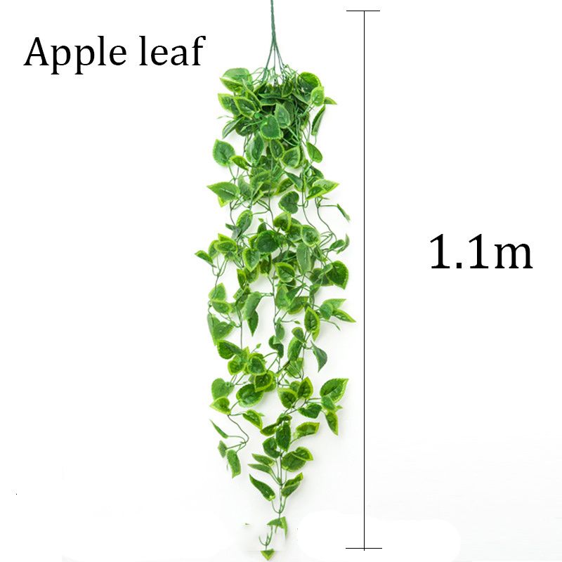 apple leaf