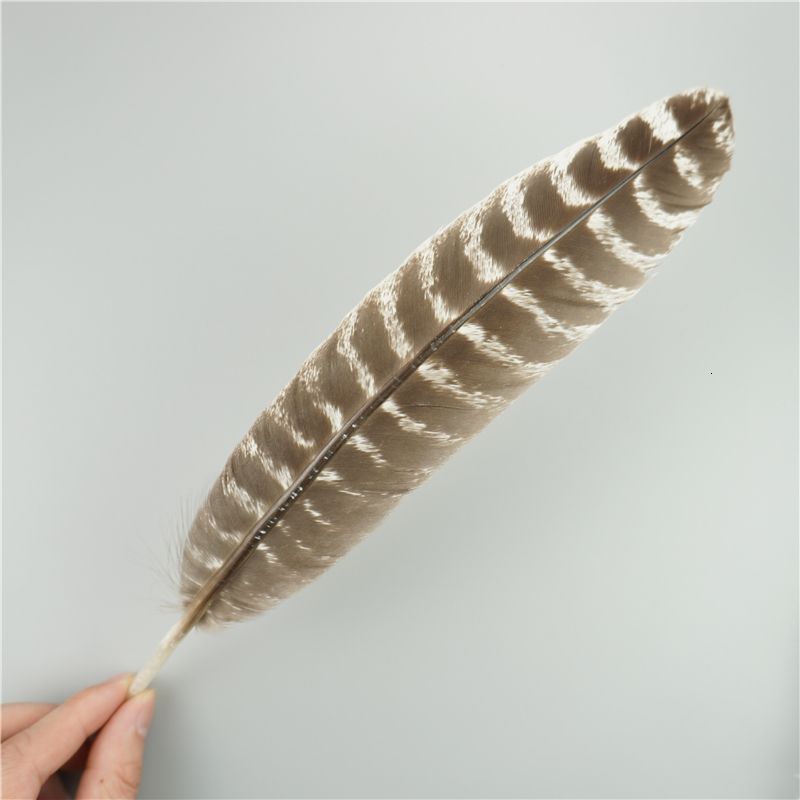 25-30 cm 10-12inch-10pcs2