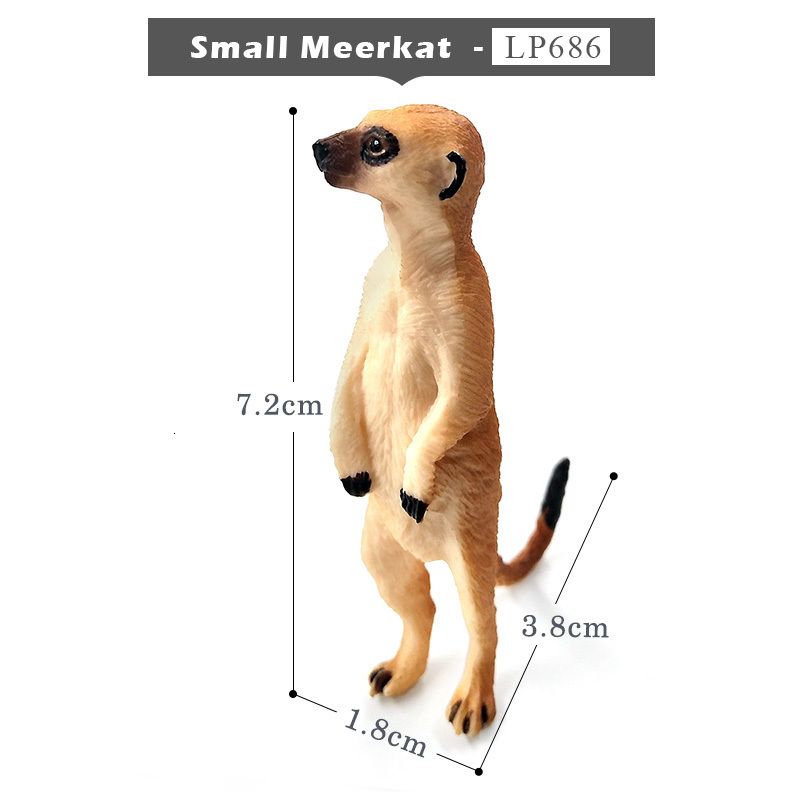 Small Meerkat
