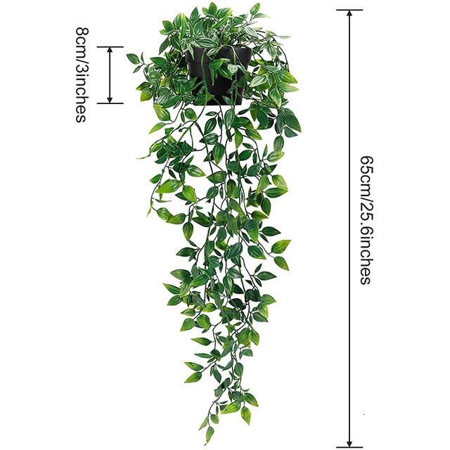 Datura-Sin Olla