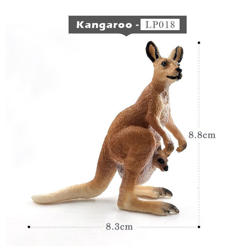 Kangaroo femminile.