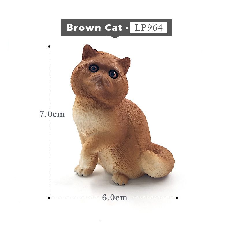 Brown Cat