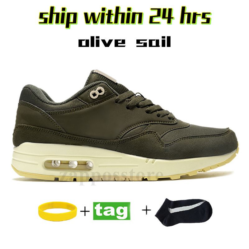 24 Olive Sail