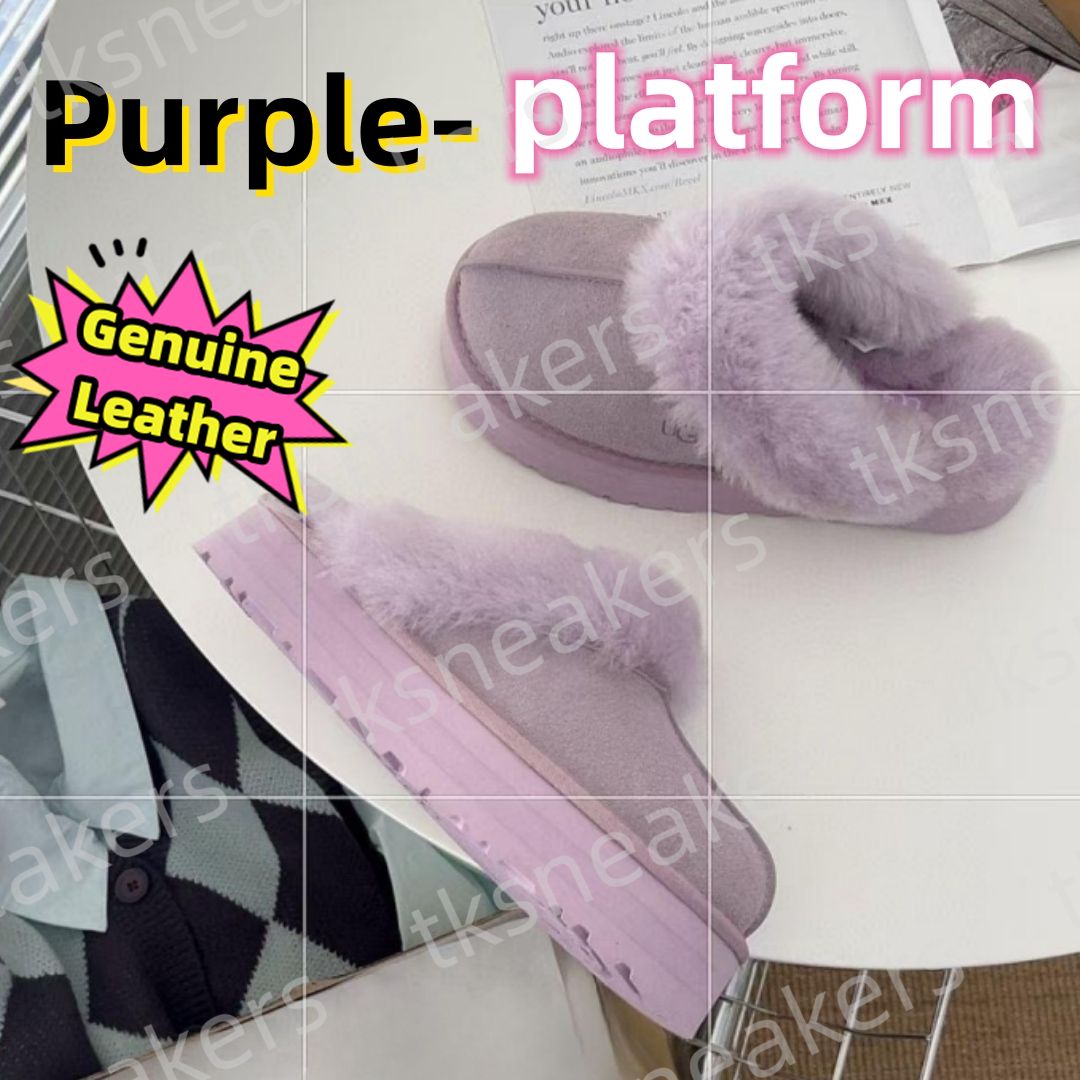 Plate-forme violet