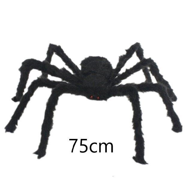 Ca 75 cm