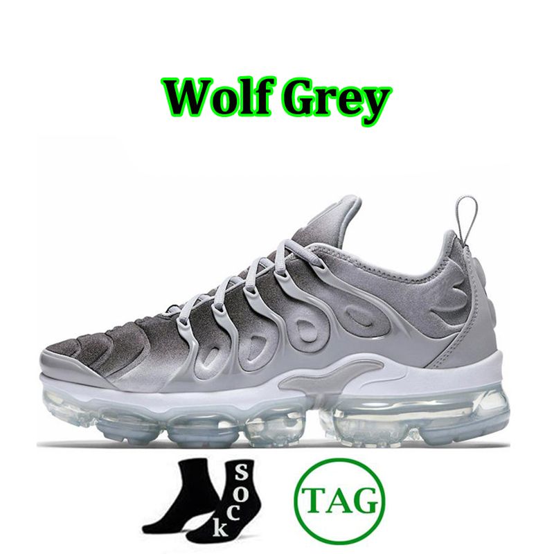 Wolf Gray