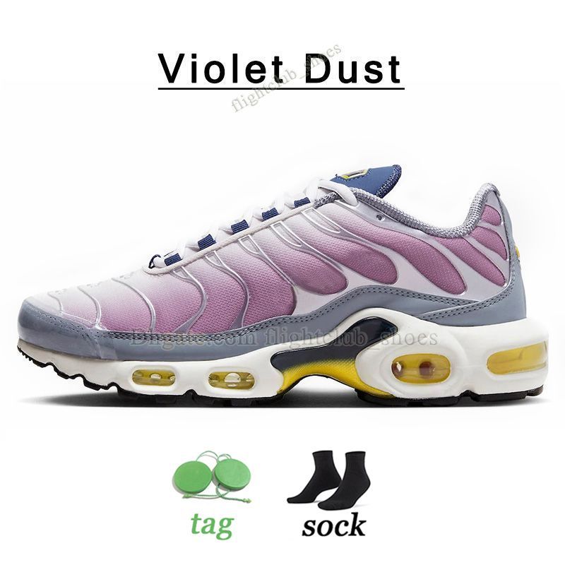 T13 40-46 Violet Dust