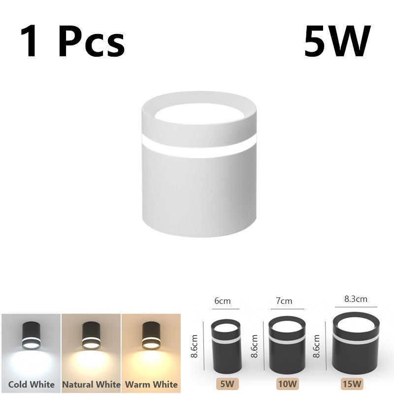 Typec 5W 화이트 콜드 화이트